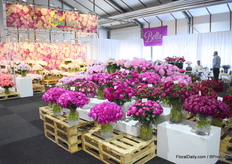 The product range of GreenWorks.